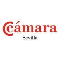 Logo de la Cámara de Comercio de Sevilla, institución cliente de DevelopMe. Logo de la Cámara de Comercio de Sevilla, institución cliente de DevelopMe.